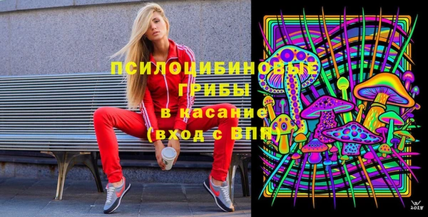 МДПВ Алексин