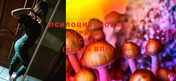 бошки Алексеевка