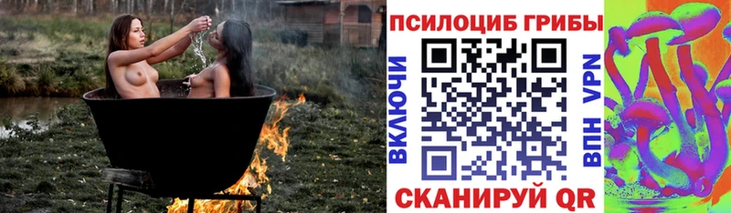 Псилоцибиновые грибы мухоморы  blacksprut tor  Байкальск 