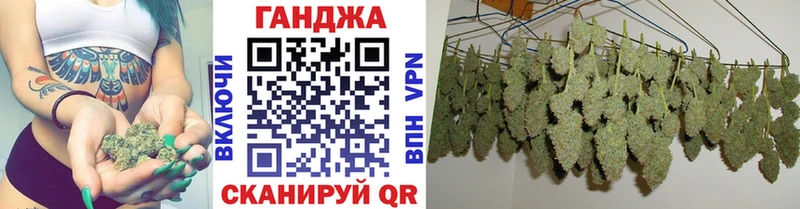 Марихуана гибрид  Байкальск 